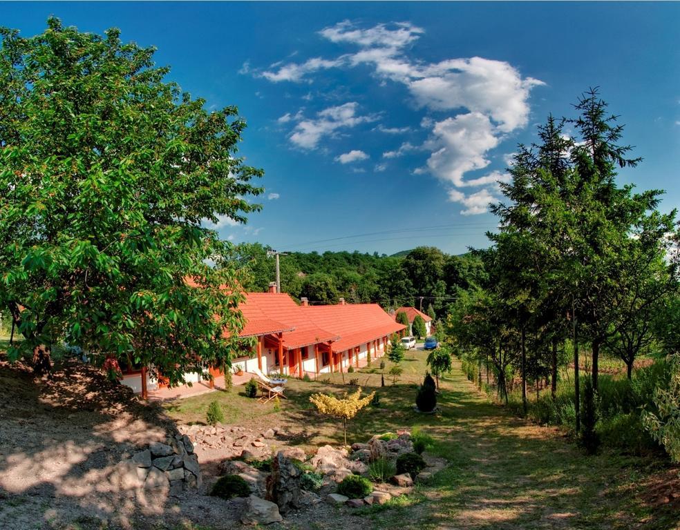 Nyitott Kapu Vendeghaz Hotel Felsotarkany Exterior photo